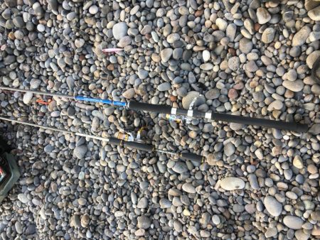 すごいファイト！