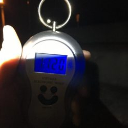 ボトム放置からの！