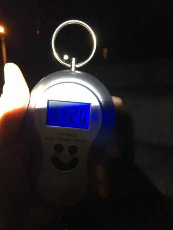 ボトム放置からの！