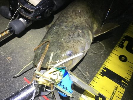 坊主のフォロー