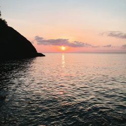 ロックフィッシング