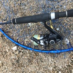 見えてる魚は釣れ無い