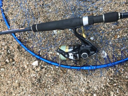 見えてる魚は釣れ無い