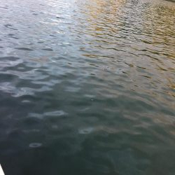 シャローエリア春イカエギング