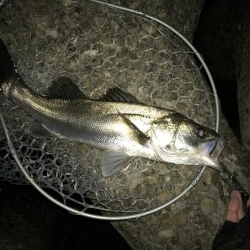 リアクションバイト