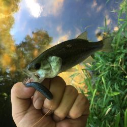 豆バスと遊んできました！