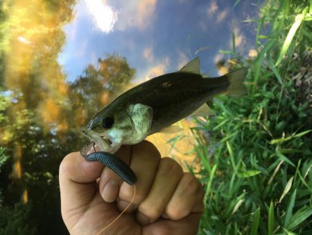 豆バスと遊んできました！