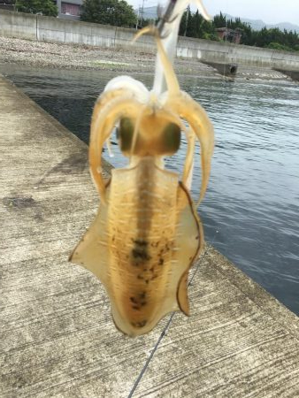 雨上がり決死隊