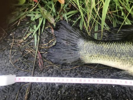 59cm！！ウエイト測ってないけど、痩せてるー