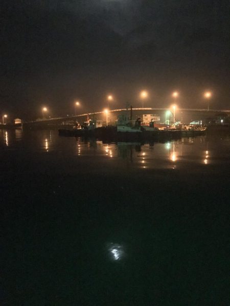 広島に引っ越して初めてのエギング