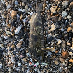 もうちょいでポン！