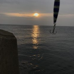 夕方ショアジギング