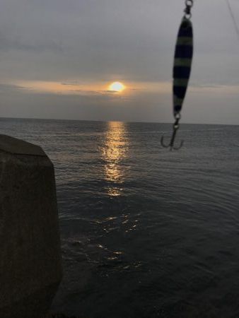 夕方ショアジギング