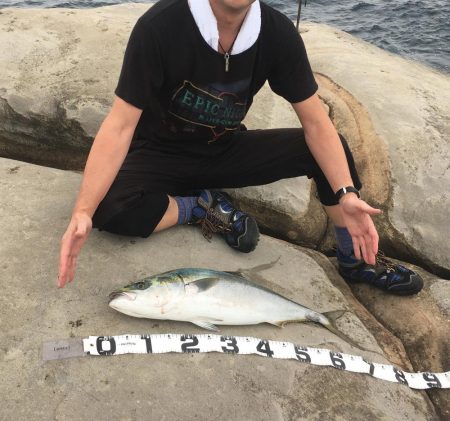 梅雨の合間の青いヤツ