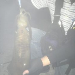 思ったより小さい