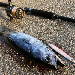 ショアジギング