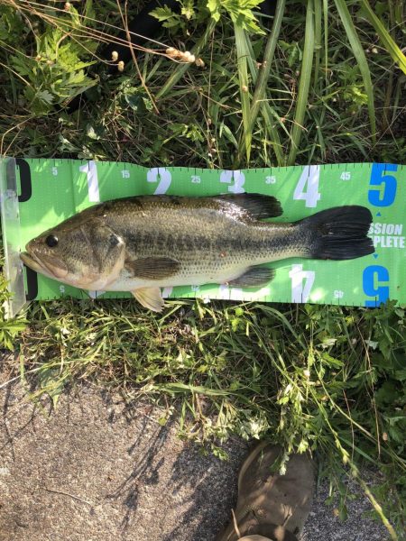 ジョイクロ 128テスト