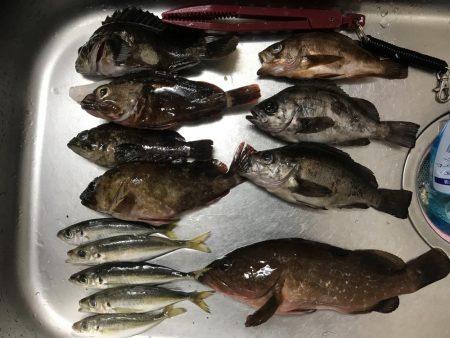 ライトロック！