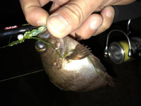 雨上がりメバリング