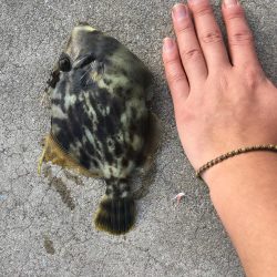 たまにはのんびりと