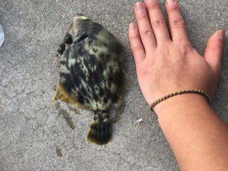 たまにはのんびりと