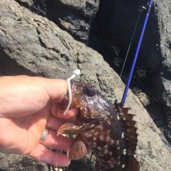 癒しのガシリング