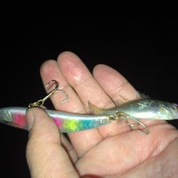 久しぶりの釣行