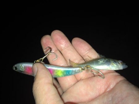 久しぶりの釣行