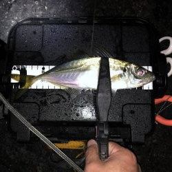 雨の中でのジグ単