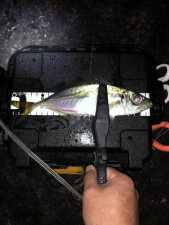 雨の中でのジグ単