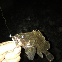 フォール➕デッドスロー