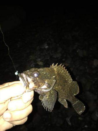 フォール➕デッドスロー