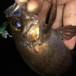 今日も癒しを求めて…