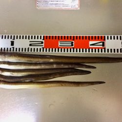 自己記録更新(^。^)