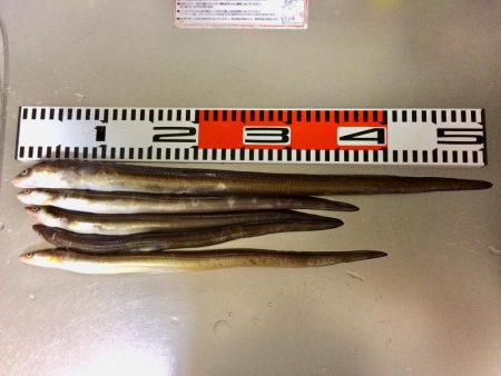 自己記録更新(^。^)