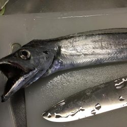 ショアジギング