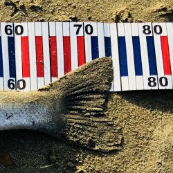 リフト&フォール