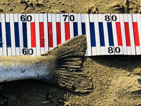 リフト&フォール