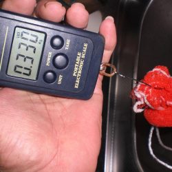 台風前タコ釣れた