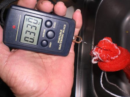 台風前タコ釣れた