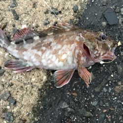 出勤前に。 part 5