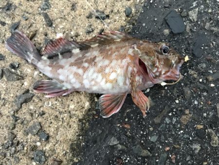 出勤前に。 part 5