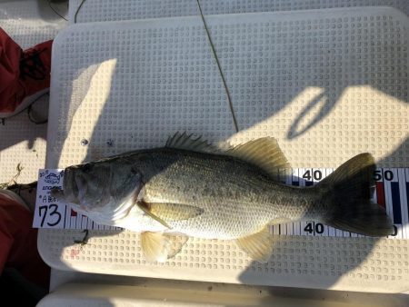 今年の琵琶湖は厳しい