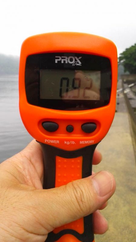 ヤエン・エギング釣行