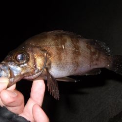 強風の中なんとか