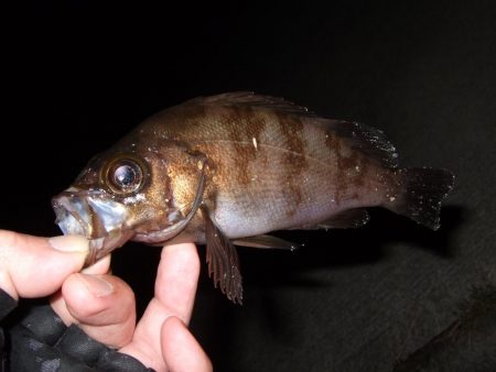 強風の中なんとか