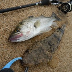 もう少しサイズが…