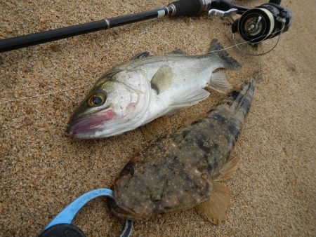 もう少しサイズが…