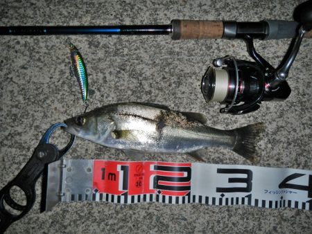 リバーシーバス