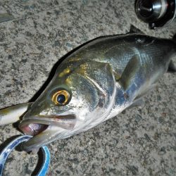 オートリリース